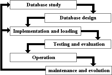 Database Analysis